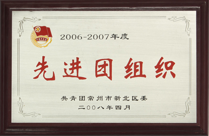 先進(jìn)團(tuán)組織