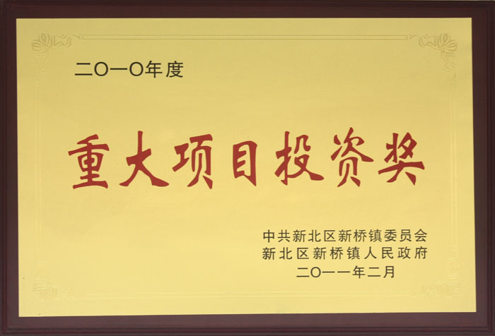 重大項(xiàng)目投資獎(jiǎng)