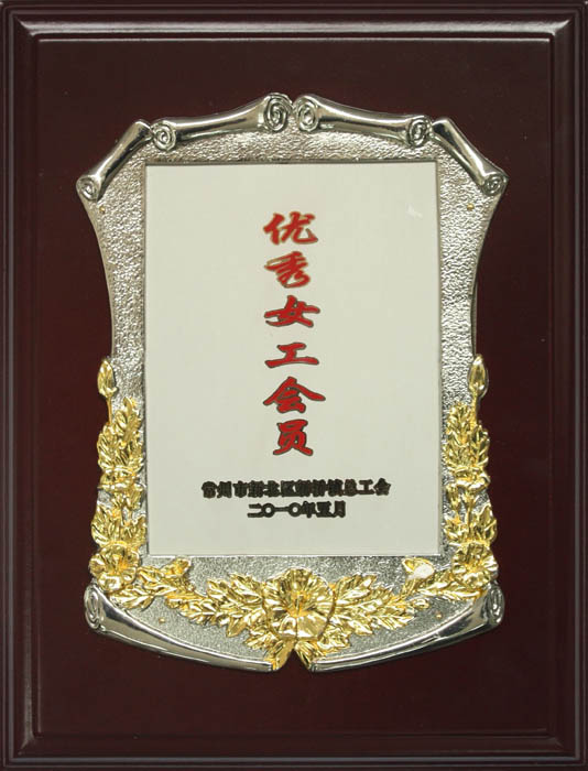 優(yōu)秀女工會(huì)員